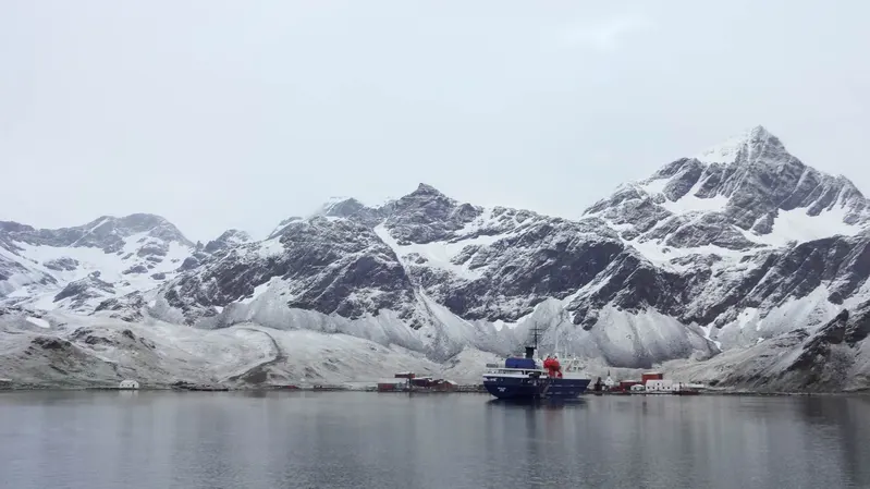 Grytviken whaling station, South Georgia Island